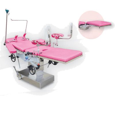 Multi-purpose Parturition Bed MEC-06B
