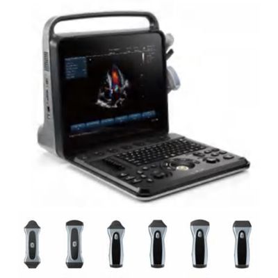 Veterinary Ultrasound diagnostic system