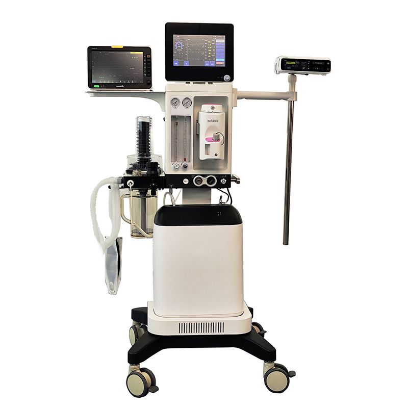 Pet Hospital Instrument Comprehensive Anesthesia and Ventilator Machine V5