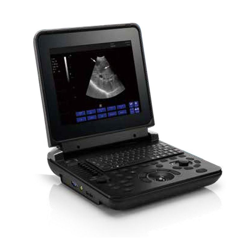 Pet Hospital Animal Medical Instruments Veterinary black and white ultrasound diagnostic system VDL121A