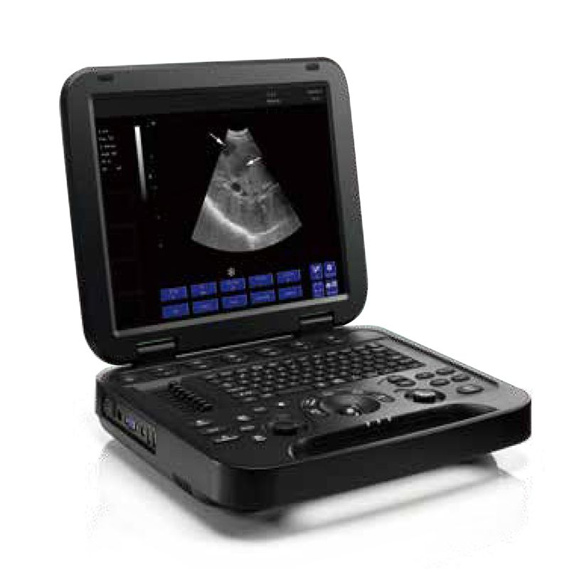 Animal Veterinary Medical Equipments black and white ultrasound diagnostic system VDL151A 