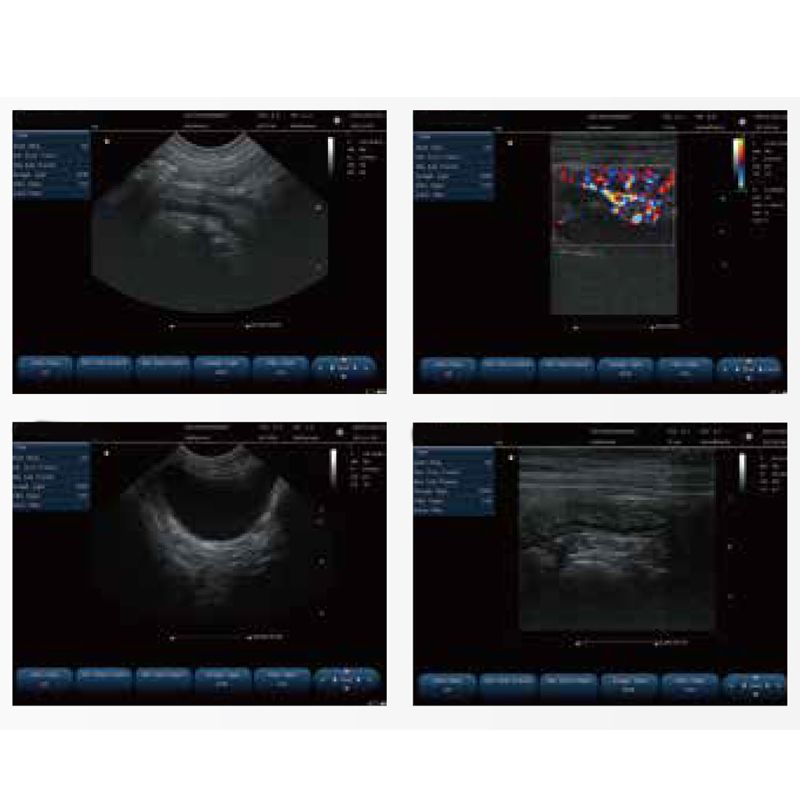 Pet Hospital Veterinary Clinical Equipments color Doppler ultrasound diagnostic system VL151A