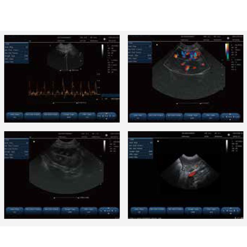 Pet Hospital Veterinary Clinical Equipments color Doppler ultrasound diagnostic system VL151A