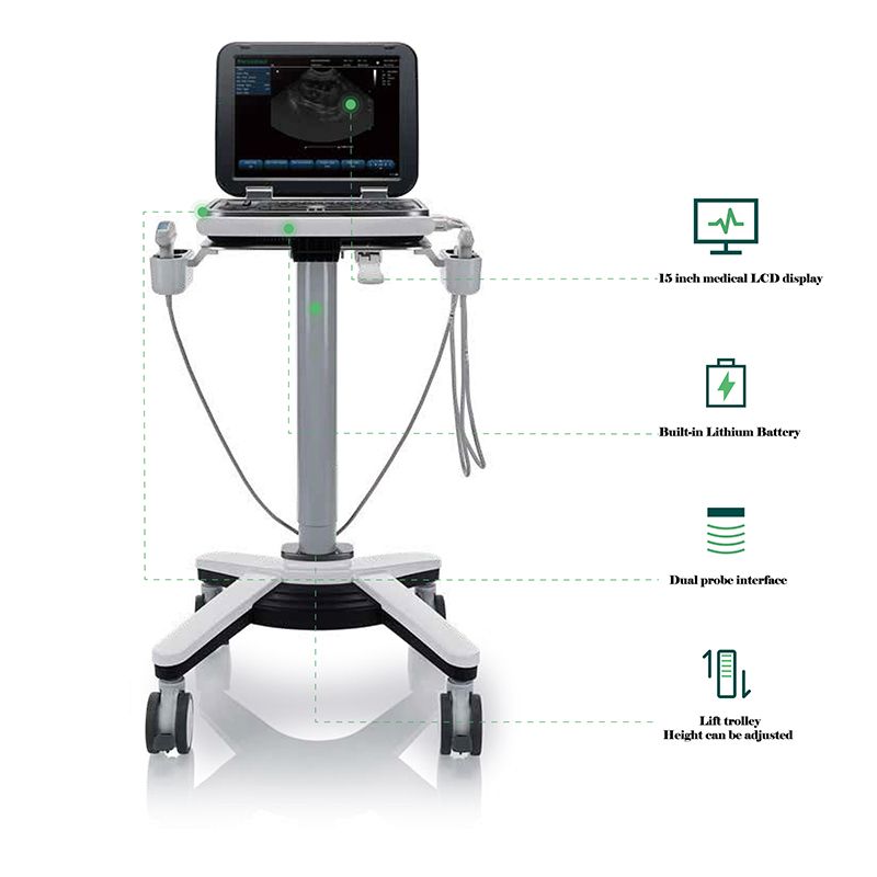 Pet Hospital Veterinary Clinical Equipments color Doppler ultrasound diagnostic system VL151A