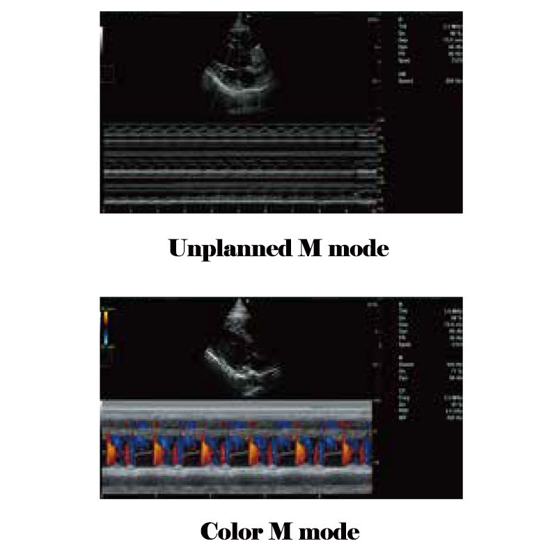 For Veterinary Used Medical Device Cardiac Ultrasound System VMT241A 