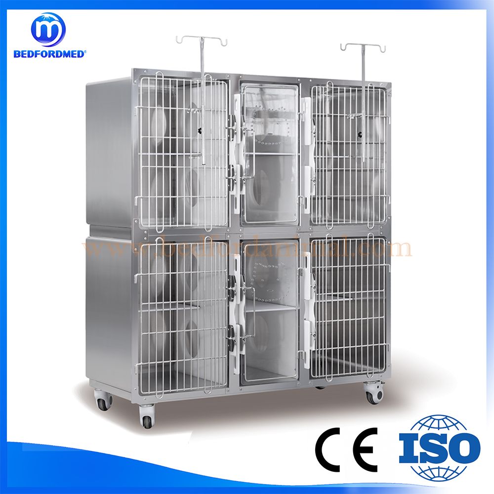 Animal Hospital Pet Store Four-seater luxury cat cage with public toilet BDFML03