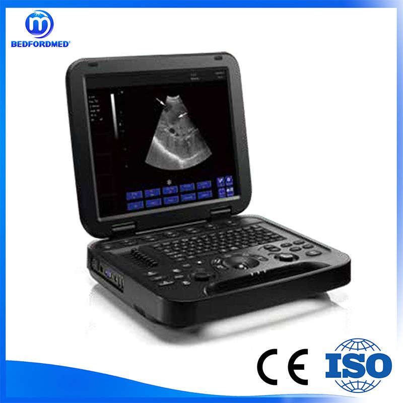 Animal Veterinary Medical Equipments black and white ultrasound diagnostic system VDL151A